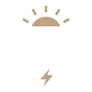 TOPCon※4.0セル