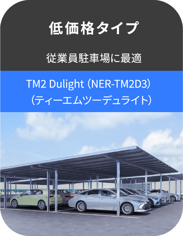 低価格タイプ TM2 Dulight（NER-TM2D3）（ティーエムツーデュライト）